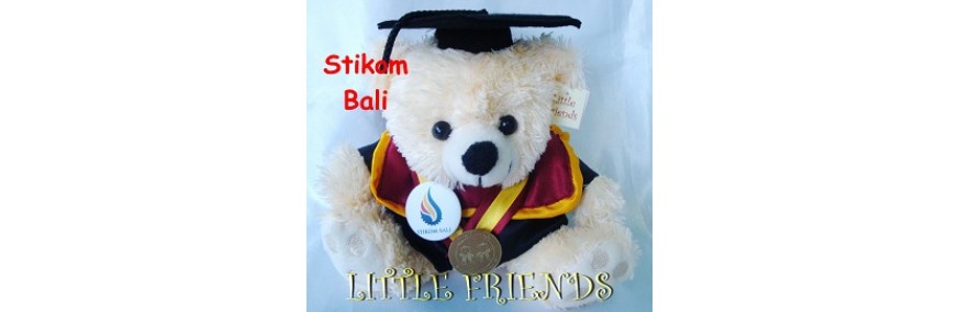Boneka Wisuda Stikom Bali